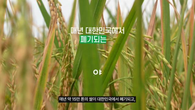 50+2024+고등교육혁신원+워크스테이션+유틸라이스+기획영상.mp4