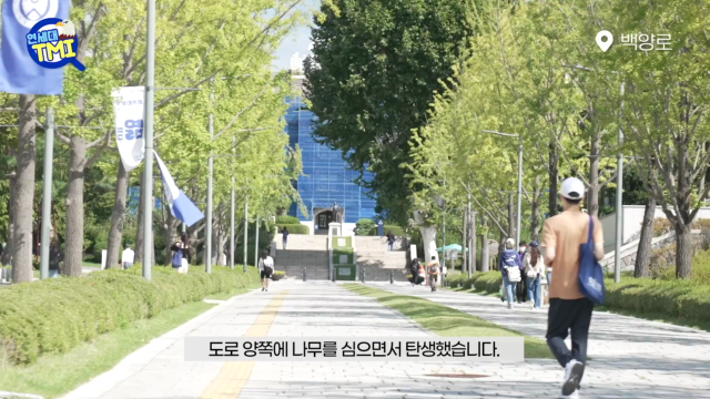 연세대학교+캠퍼스+N가지+tmi.mp4
